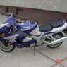 kongfritten