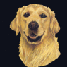 royler