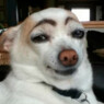 Seamus