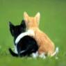 Titou33
