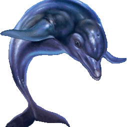 image of susdelfin