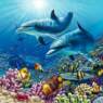 delfin24