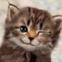 nougat12