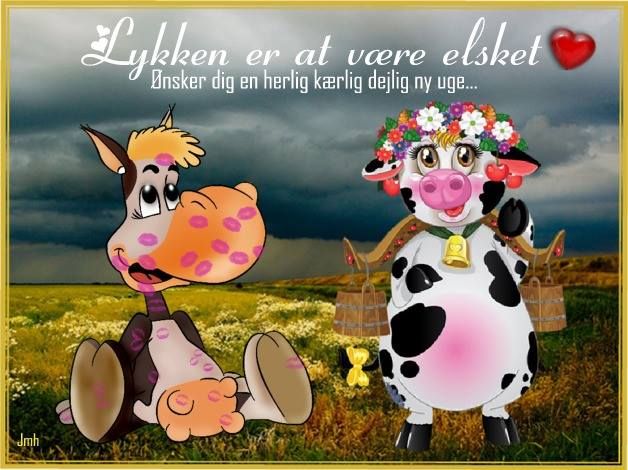 tillykke