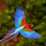 anpe5767